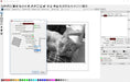 Lightburn interface cat engraving